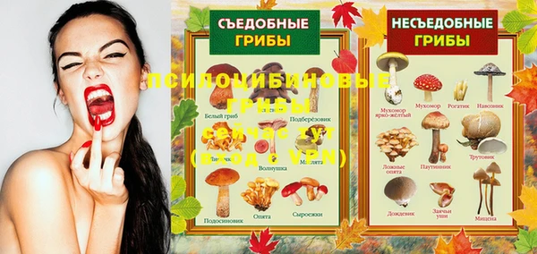 гидра Магадан