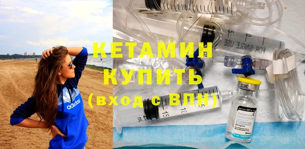 сатива Абаза