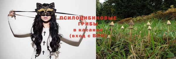 сатива Абаза