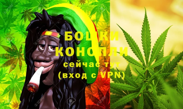 шишки Алзамай