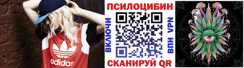 продажа наркотиков Алдан Галлюциногенные грибы Psilocybine cubensis