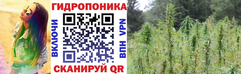 Каннабис OG Kush  Алдан 